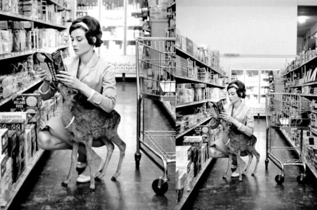 Audrey Hepburn and deer