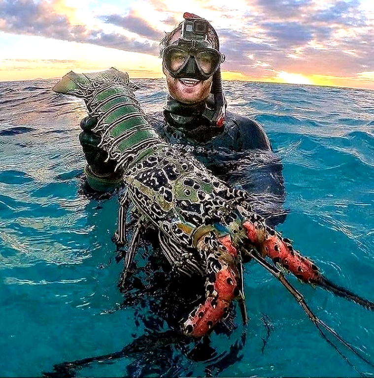 Crayfish clear waters