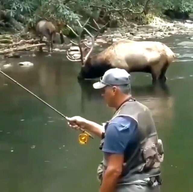 Fishing Canada