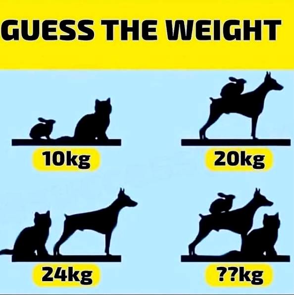 Guess the weight