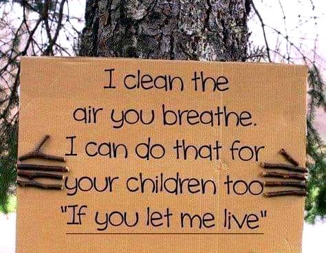 I clean the air you breathe