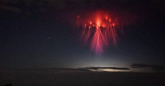 Jellyfish Thunderstorm