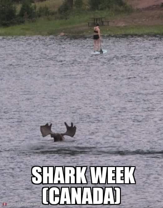 SHARK in Canada