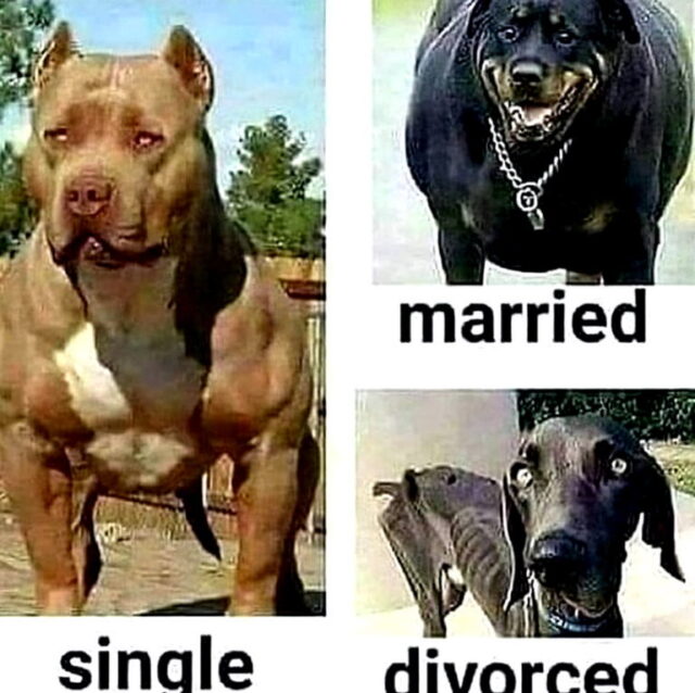 Single Married Divorced