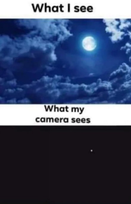 WHAT I See WHAT My Camera Sees