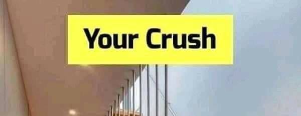 your-crush